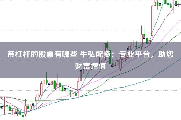 带杠杆的股票有哪些 牛弘配资：专业平台，助您财富增值