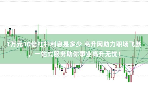 1万元10倍杠杆利息是多少 高升网助力职场飞跃，一站式服务助你事业高升无忧！