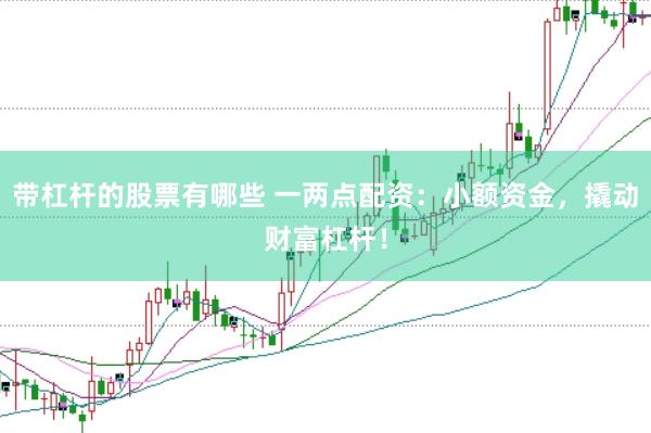 带杠杆的股票有哪些 一两点配资：小额资金，撬动财富杠杆！