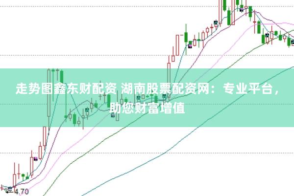 走势图鑫东财配资 湖南股票配资网：专业平台，助您财富增值