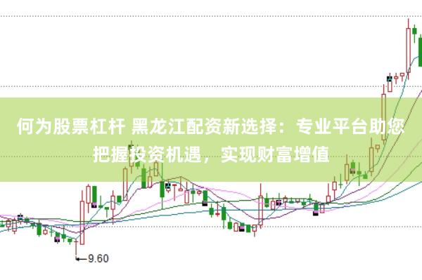 何为股票杠杆 黑龙江配资新选择：专业平台助您把握投资机遇，实现财富增值