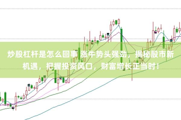 炒股杠杆是怎么回事 涨牛势头强劲，揭秘股市新机遇，把握投资风口，财富增长正当时！