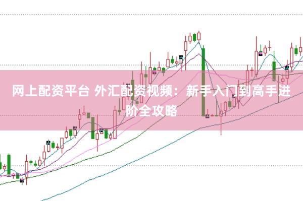 网上配资平台 外汇配资视频：新手入门到高手进阶全攻略