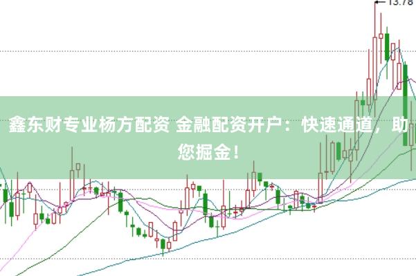 鑫东财专业杨方配资 金融配资开户：快速通道，助您掘金！