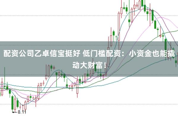 配资公司乙卓信宝挺好 低门槛配资：小资金也能撬动大财富！