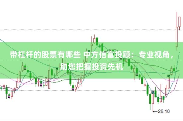 带杠杆的股票有哪些 中方信富投顾：专业视角，助您把握投资先机