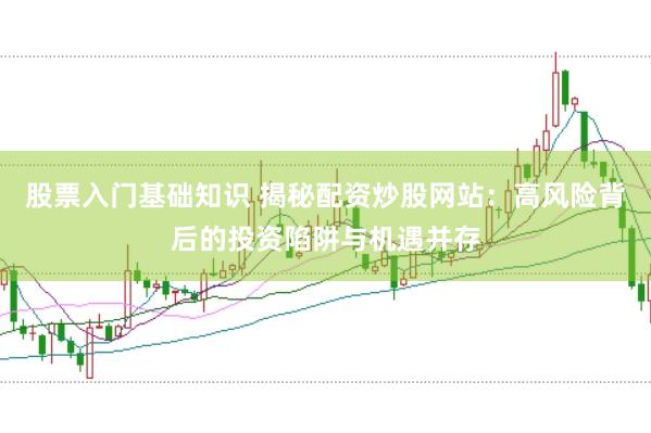 股票入门基础知识 揭秘配资炒股网站：高风险背后的投资陷阱与机遇并存