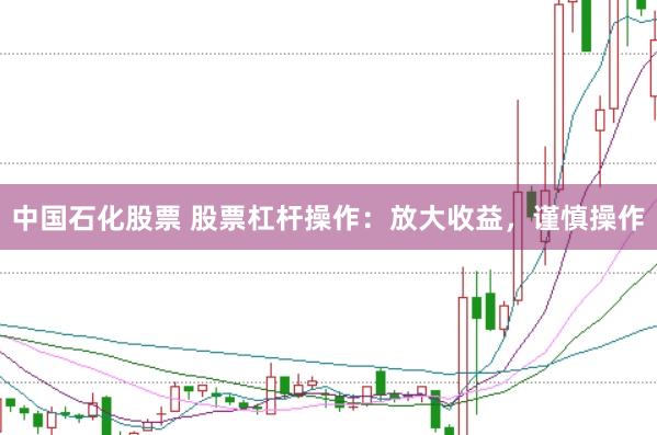中国石化股票 股票杠杆操作：放大收益，谨慎操作