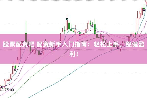 股票配资吧 配资新手入门指南：轻松上手，稳健盈利！