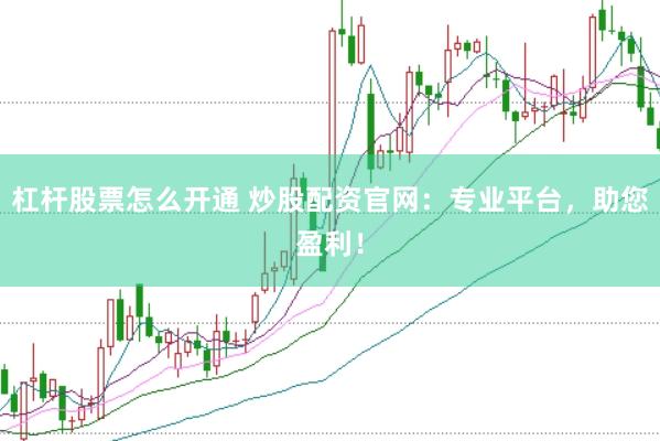 杠杆股票怎么开通 炒股配资官网：专业平台，助您盈利！