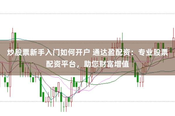 炒股票新手入门如何开户 通达盈配资：专业股票配资平台，助您财富增值