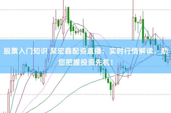 股票入门知识 聚宏鑫配资直播:实时行情解读,助您把握投资先机!